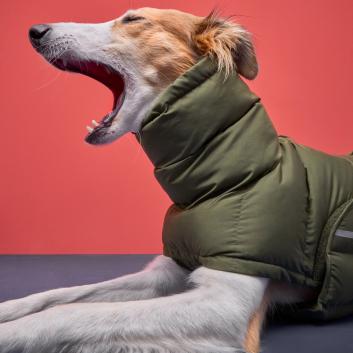 Eco Puffer Dog Coats