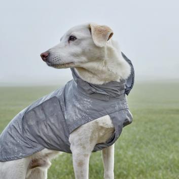 Dog with Cloud7 Dog Raincoat