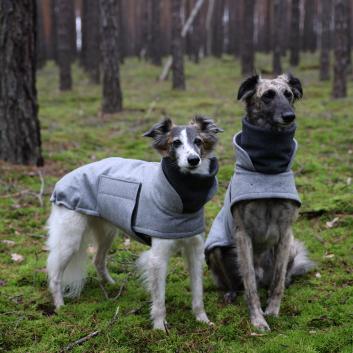 Cloud7 Dog Coats for Sighthounds