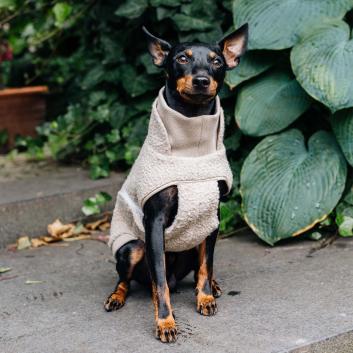 wysiwyg/widgets/Cloud7-dog-sweater-gotland-beige-small-dog-black.jpg>