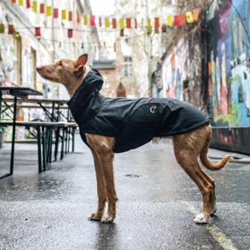 Hund mit Hunderegenmantel Dublin Slate