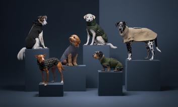 Six dogs with Cloud7 dog coats