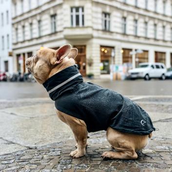 Französische Bulldogge in einem Cloud7 Hunderegenmantel London FR. BULLDOGGE Slate