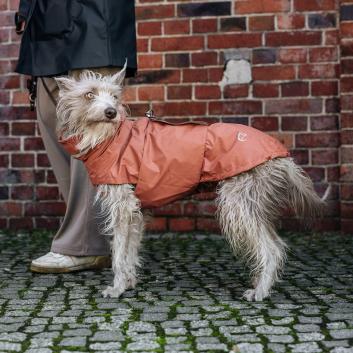 Cloud7 Dog Raincoat Hamburg Brick Red