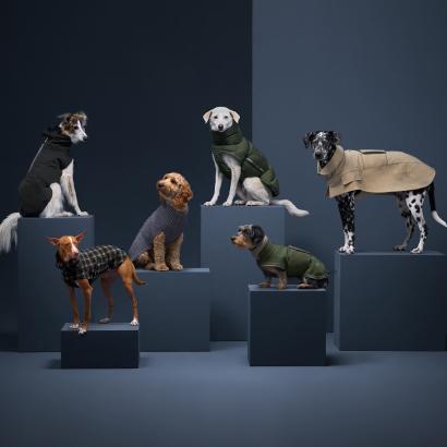 Pet Perfect Luxury Dog Collar Dog Gift - Italian Leather Designer