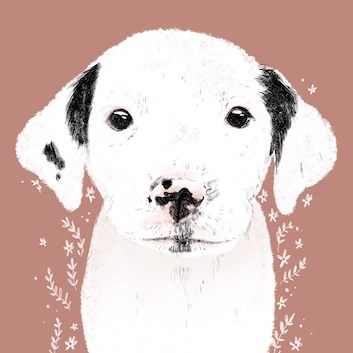 Illustration Tierschutzhund